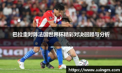 BB贝博登录入口