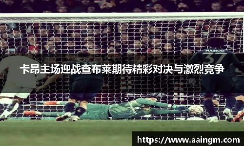 BB贝博登录入口