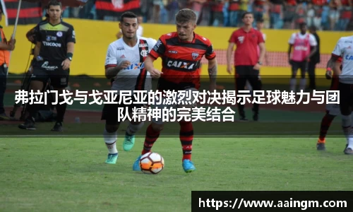 弗拉门戈与戈亚尼亚的激烈对决揭示足球魅力与团队精神的完美结合